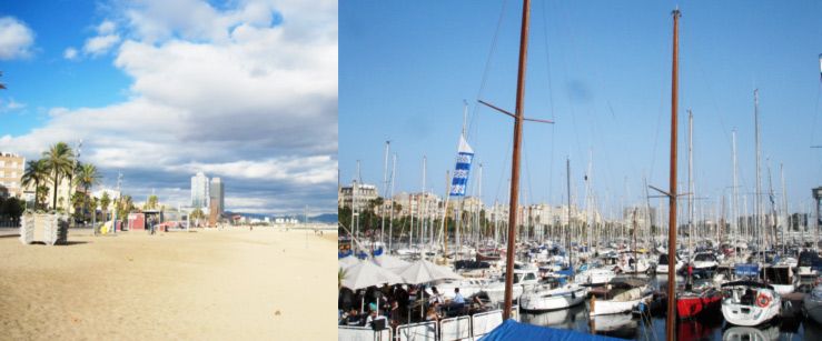 restaurante jamon barceloneta