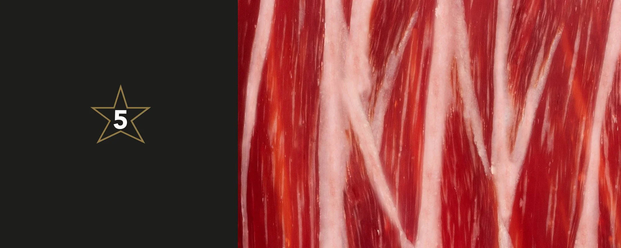 PALETA IBÉRICA 100% DE BELLOTA - PATA NEGRA Enrique Tomás