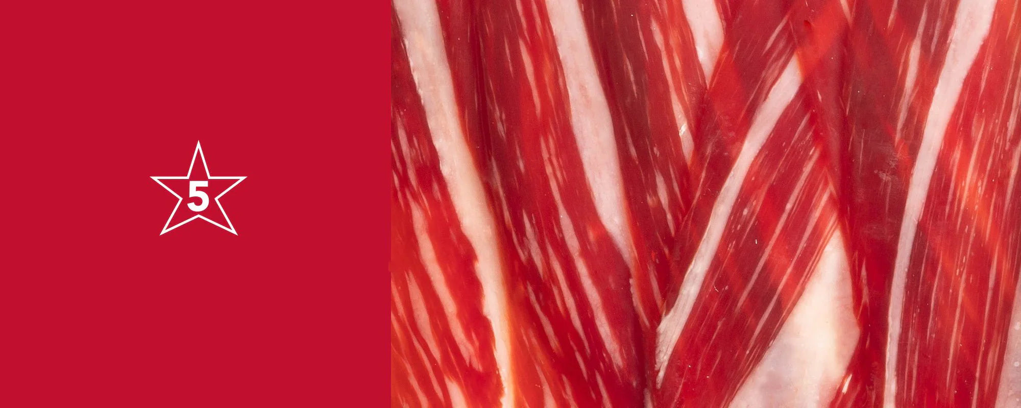 PALETA IBÉRICA DE BELLOTA Enrique Tomás