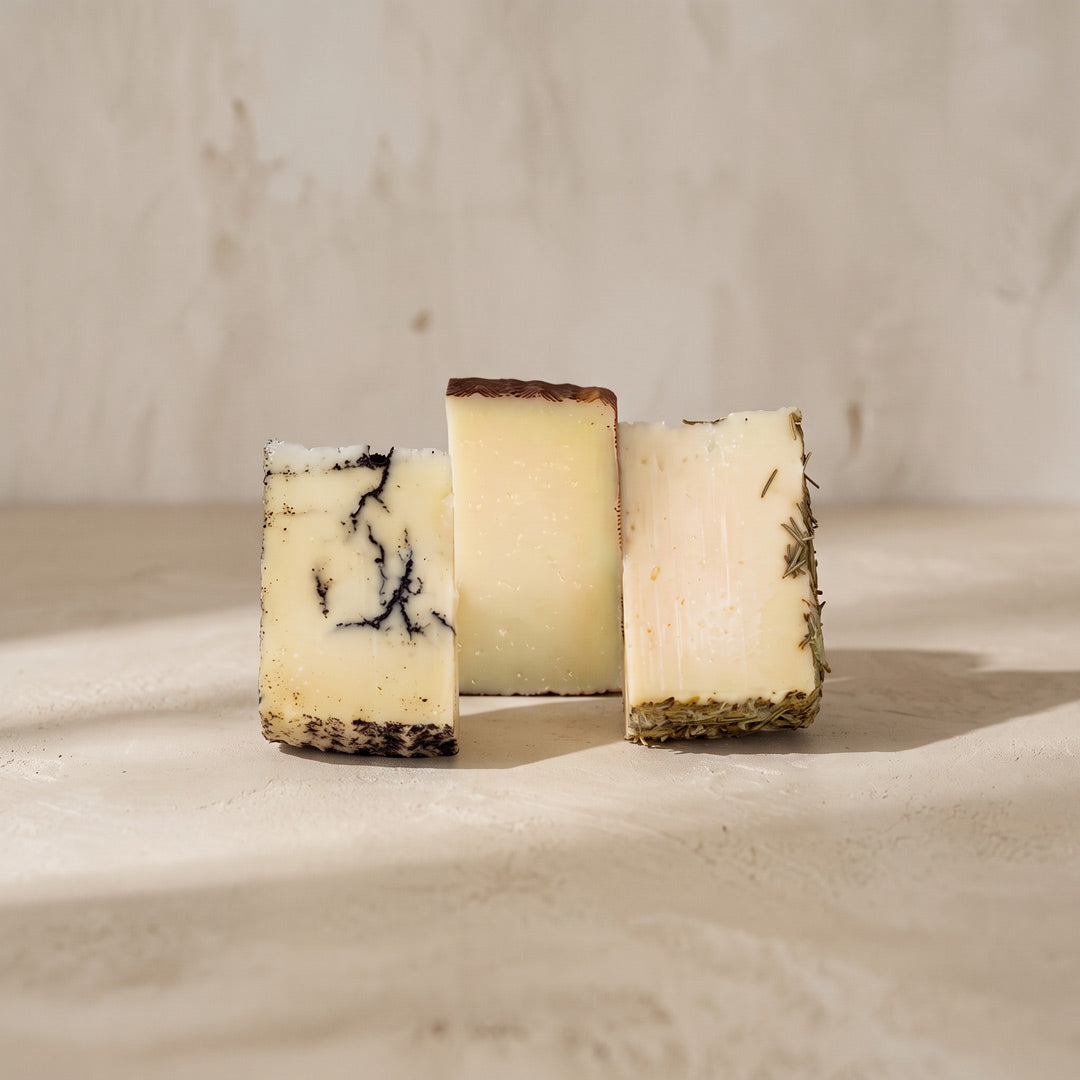 Vegasotuelamos Cheese Pack of 3